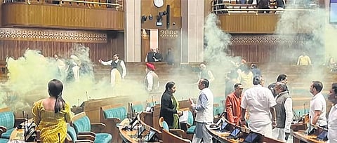 Image of the Parliament security breach.