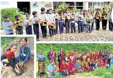 Bhandari ensures that every guest who visits Kot Talla Primary School plants a tree, adding to the school’s greenery.