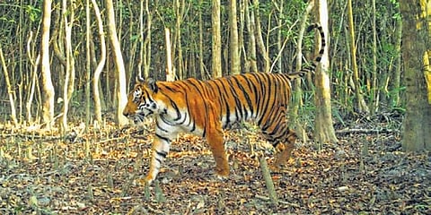 Image used for representational purpose only.