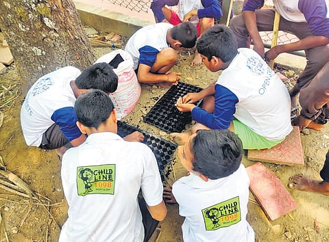 The sustainable horticulture initiative caters to 114 residents of Correctional Institutional Complex. (Photo| Express)