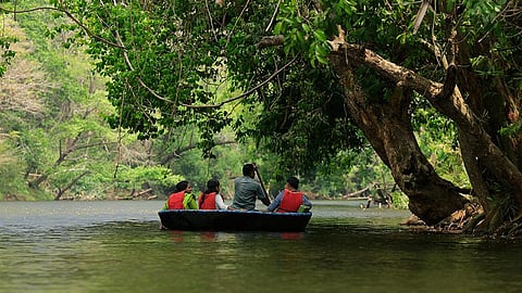 Representational Image. (Photo | Kerala Tourism website)