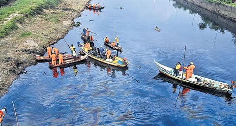 CPCL oil recovery team filling plastic bags with water hyacinth at Buckingham canal;