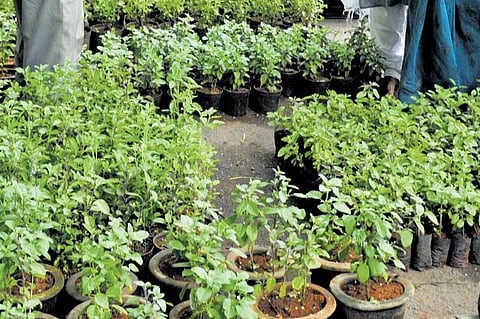 Image used for representational purposes only. (Photo | Express)