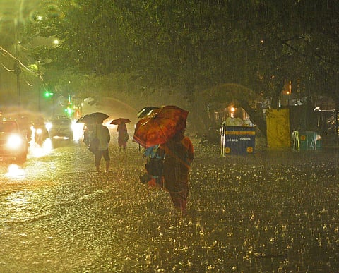 The Naalumukku of Manjolai Hills recorded 19cm of rainfall as of 8.30 am on Sunday. (Shiba Prasad Sahu)