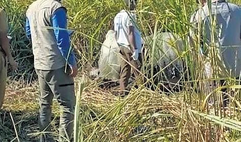 In a 1st, man kills rhino with spear in Kaziranga National Park