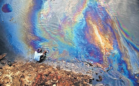 A Fishermen seen washing his hands on the oil spilled Ennore creek at Ennore after recent cyclone hit in Chennai.(Photo | Express- P. Ravikumar)