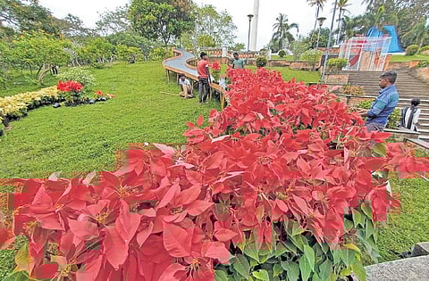 Preparations for the Vasantholsavam-2023 flower show being organised by the state tourism department on the Kanakakunnu palace premises in progress. The flower show starts on Sunday | B P Deepu
