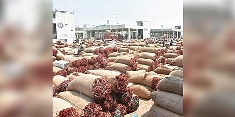 Apart from paddy, chilli crops face the risk of getting damaged. Out of the 15,000 hectares, more than 13,000 hectares have been affected by the flood and many fields are still filled with water.