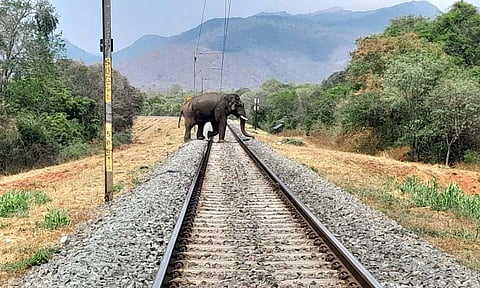 Representational image