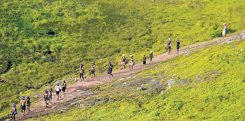 Pilgrims trekking through Sathram-Pulmedu-Sabarimala forest route. Image used for representation purposes only.