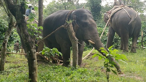 Image used for representative purpose only. (File photo | EPS)