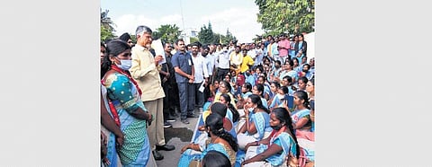 TDP supremo N Chandrababu Naidu.