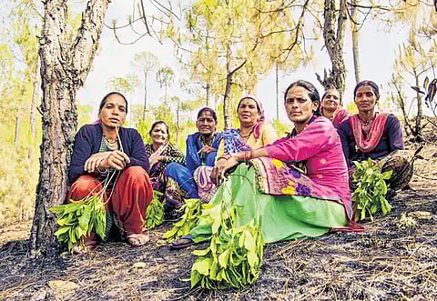 A still from ‘Faces of Climate Resilience’ | Express
