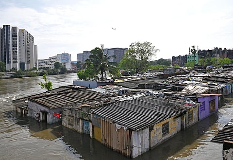 Adyar river overflowing at Saidapet. ( Photo | Shiba Prasad Sahu)