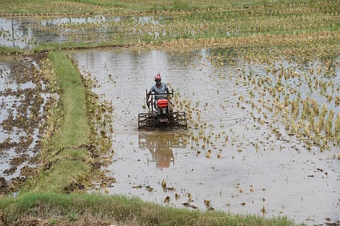 Image used for representative purposes only. (Photo | KK Sundar, EPS)