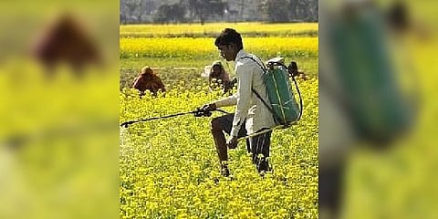 For representational purposes