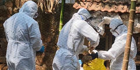 Image used for representational purpose only. (Photo | EPS)