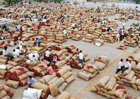 Chilli farmers seen sitting with their produce in the Guntur Mirchi Yard in Guntur district (File photo| express)