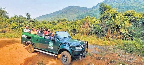 Jungle safari at Kapilash sanctuary