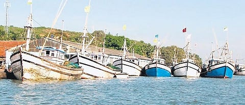 Boats lined up at a jetty in Tadadi on the Aghanashini river