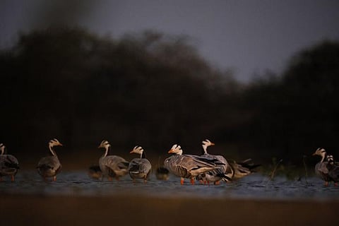 For representational purposes