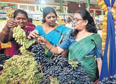 The fruits are sourced from farmers based in Chikkaballapura, Vijayapura, Bagalkot, Kolar and Koppal | FILE