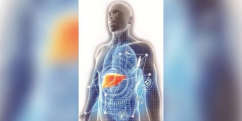 Image used for representational purpose