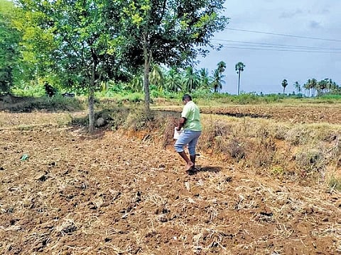Murali has roped in agricultural students, members of local communities and volunteers from Tiruvallur to Thanjavur to visit farmers | Express