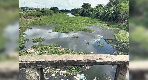 A clogged and polluted Petanala water channel in Cuttack | Express