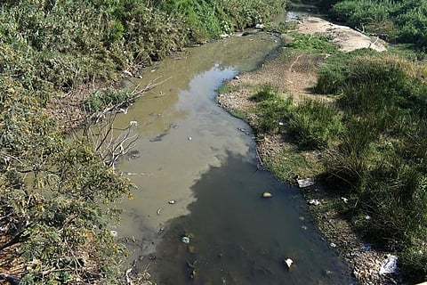 Prevent sewage flow into Noyyal river: Coimbatore farmers appeal to TN govt