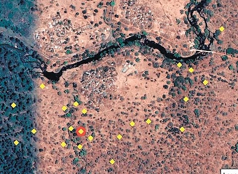 21 camera traps sets up in in Mudumalai Tiger Reserve