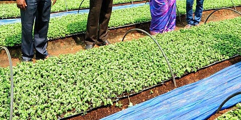 Image used for representational purposes (Photo | EPS)