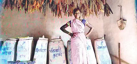 27-year-old Baiga tribal woman Lahari Bai, has emerged as a real brand ambassador of the coarse grains in tribal dominated Dindori district. (File Photo)