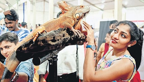 For representational purposes