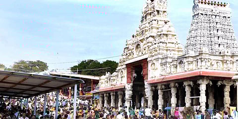 Devotees gather in large numbers at Sri Subrahmanya Swami Temple on the occasion of Thaipoosam Festival.(File Photo | Express)