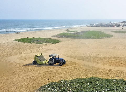 Elliot’s beach in Besant Nagar | PIC: Martin Louis