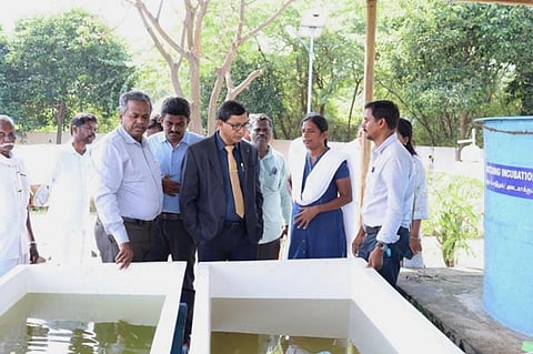Dr S Velvizhi, the head of the MSSRF Fish for All Centre, said, 'We have acquired carps from rivers such as Kollidam and bred them under controlled conditions.