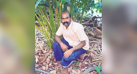 Satheesh near the newly developed cardamom variety at his farm in Karuppupalam in Vandiperiyar