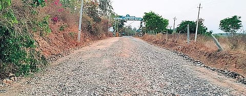 The forest department on Saturday restarted its once-stalled and popular nature walks. (File photo)
