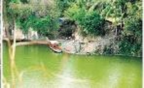 What’s in a name: Paddy land that served as gateway to Chenkotta