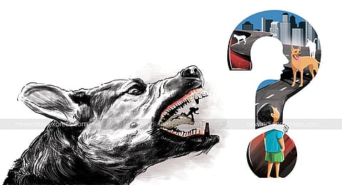 Image for representational purpose. (Express Illustration)