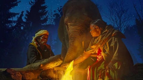 Elephant mahout couple Bomman and Bellie.