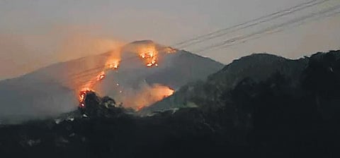 Goa has decided to team up with the Karnataka govt to control the raging fire