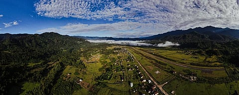 Timber smugglers managed to build a kutcha road in and around the core area of Namdapha National Park & Tiger Reserve.