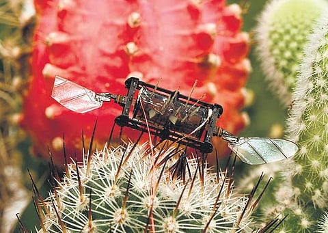 Simply Scientifico: Self-healing damage in flying robots