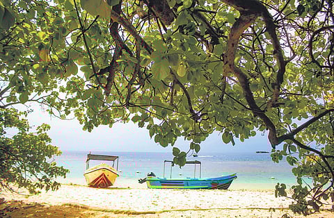 Pigeon Island National Park-Photographs by Parnashree Devi