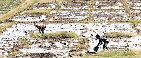 Image used for representational purposes only.