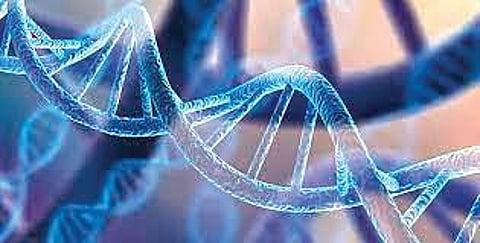 For representational purpose