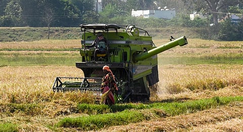 A harvester machine reaping paddy crops in a field near Nagapattinam. (Photo | M K Ashok Kumar, EPS)