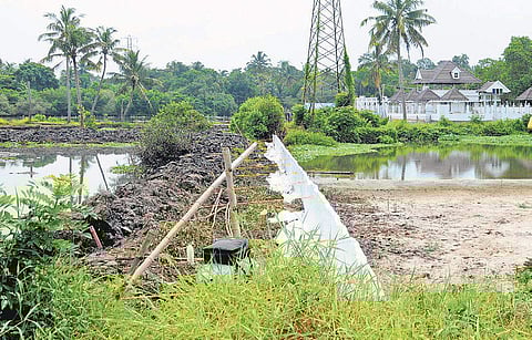 For representational purposes. | Express